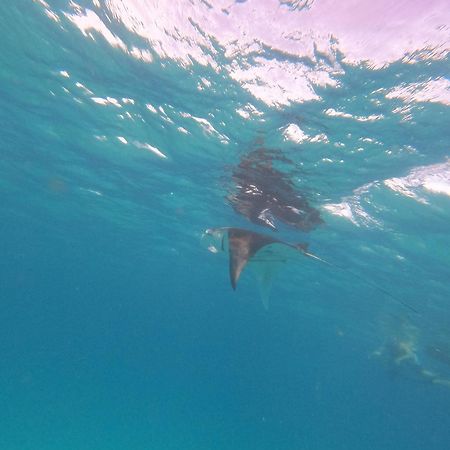 Beach Veli Ukulhas Zewnętrze zdjęcie