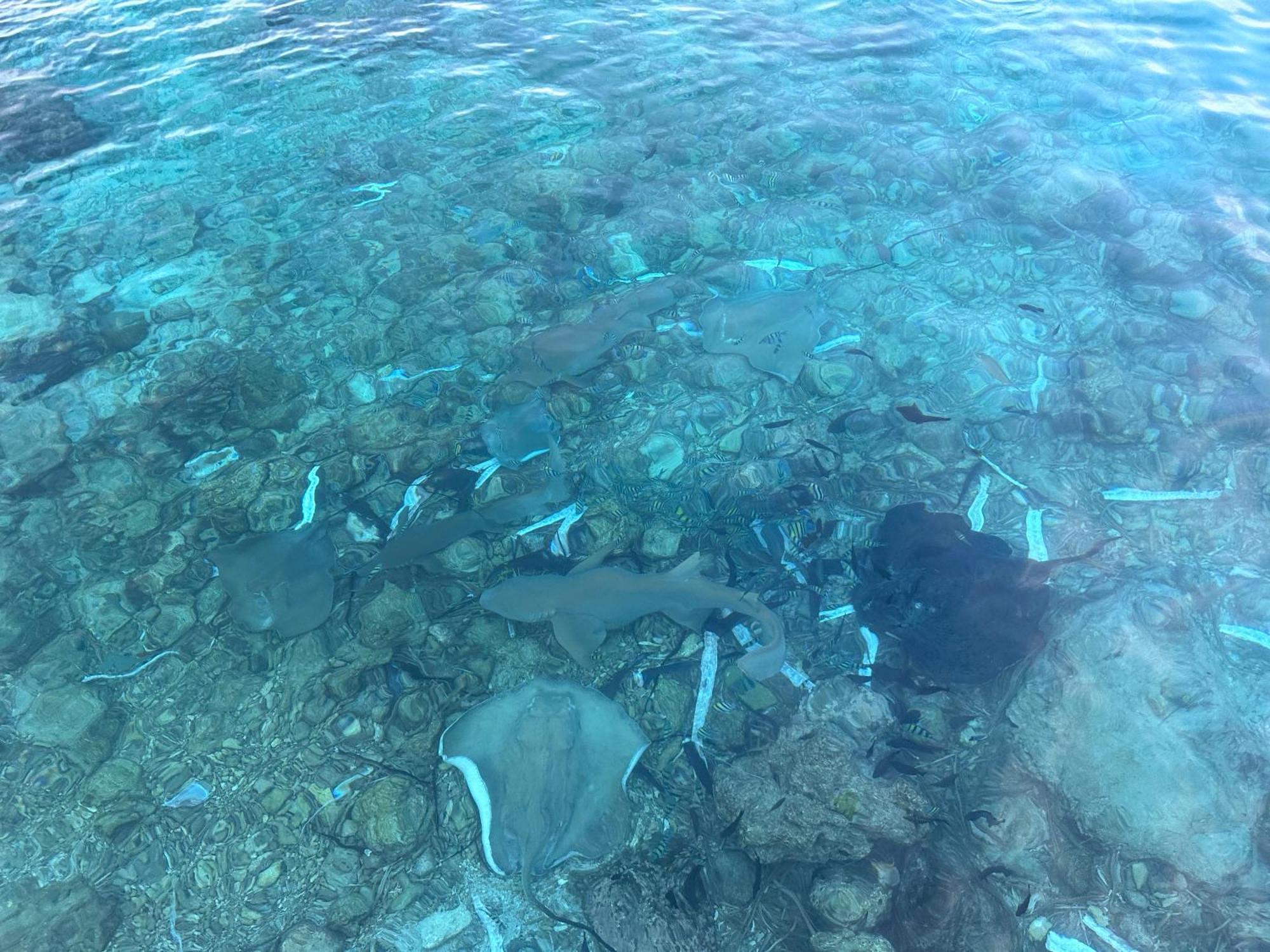 Beach Veli Ukulhas Zewnętrze zdjęcie