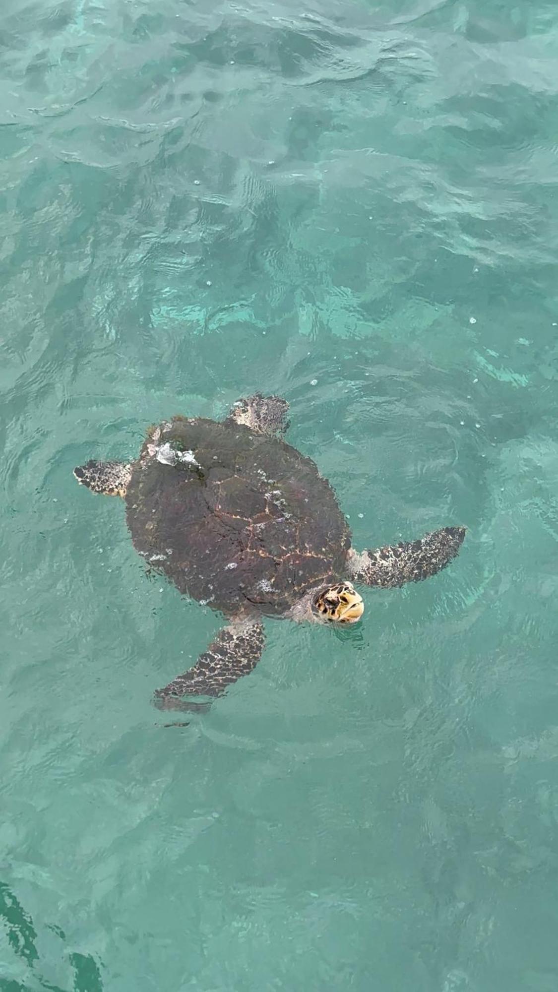 Beach Veli Ukulhas Zewnętrze zdjęcie